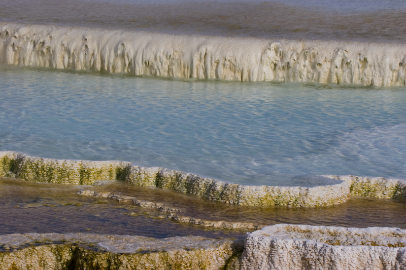 Detail Of New Blue Spring